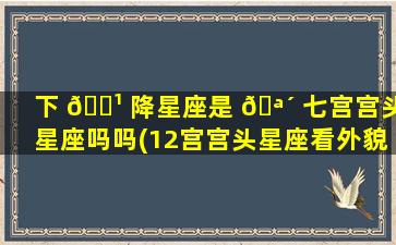 下 🌹 降星座是 🪴 七宫宫头星座吗吗(12宫宫头星座看外貌)